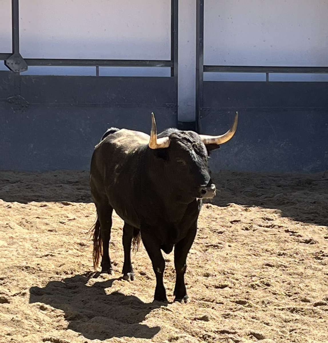 tellez_fernan's tweet photo. Sorteo @LasVentas 

@AngelTellez757 

Nº 73
N° 45 https://t.co/t881jQGkXy