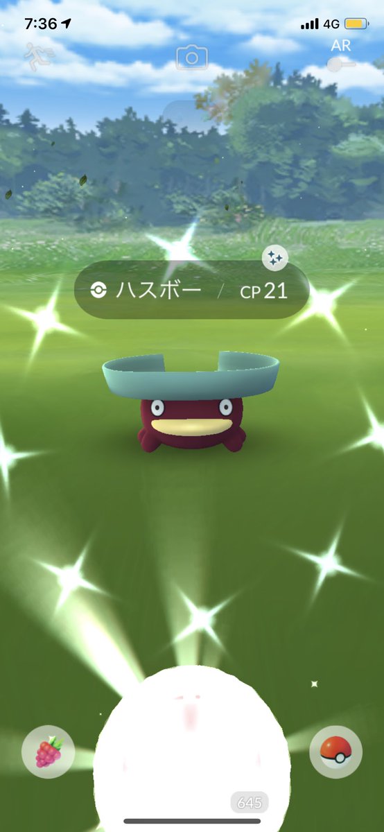Vet ポケモンgo Vet599pokemongo Twitter