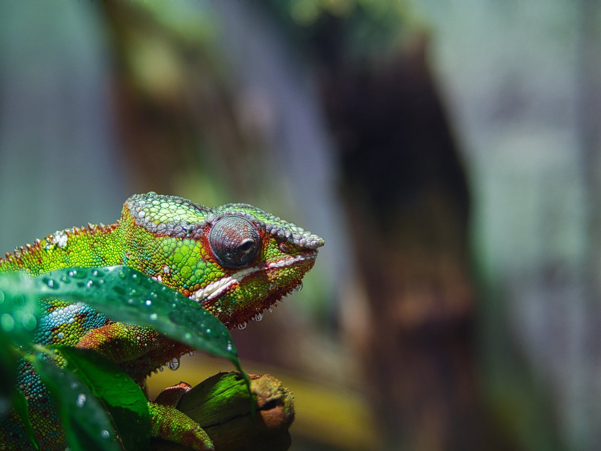 Pin_ph_'s tweet image. Hi! Share your animal photos 🦅