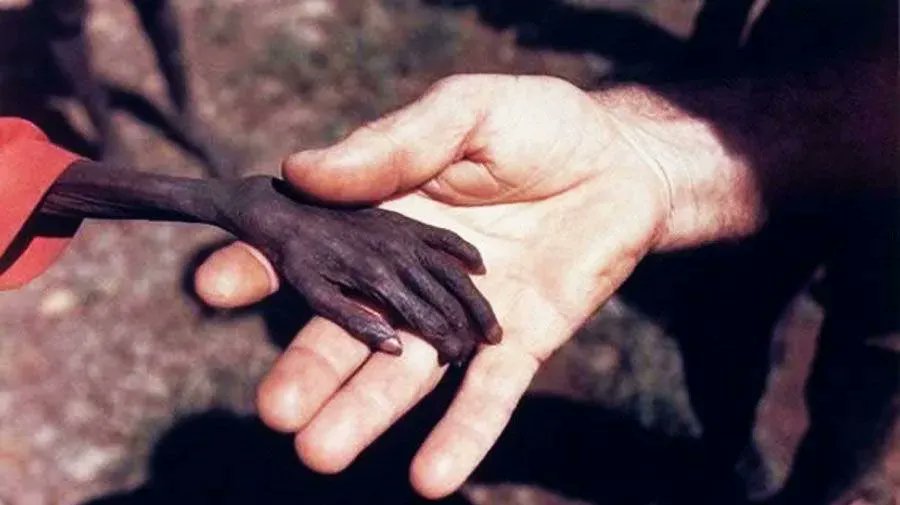 garyhgoodridge's tweet photo. If a country has money to kill, it should have money to feed! https://t.co/AvQBDTTVAP