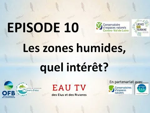 Vous vous posez des questions sur les #zoneshumides ?
L'EPISODE 10 d’EAUtv  est pour vous : 
«Les zones humides, quels intérêts ? » 
avec @CenCentreValdeLoire 
M.ARNOULD et @sophiemetadier37 élus à la @lochessudtouraine  
A voir  sur buff.ly/3wrdslL