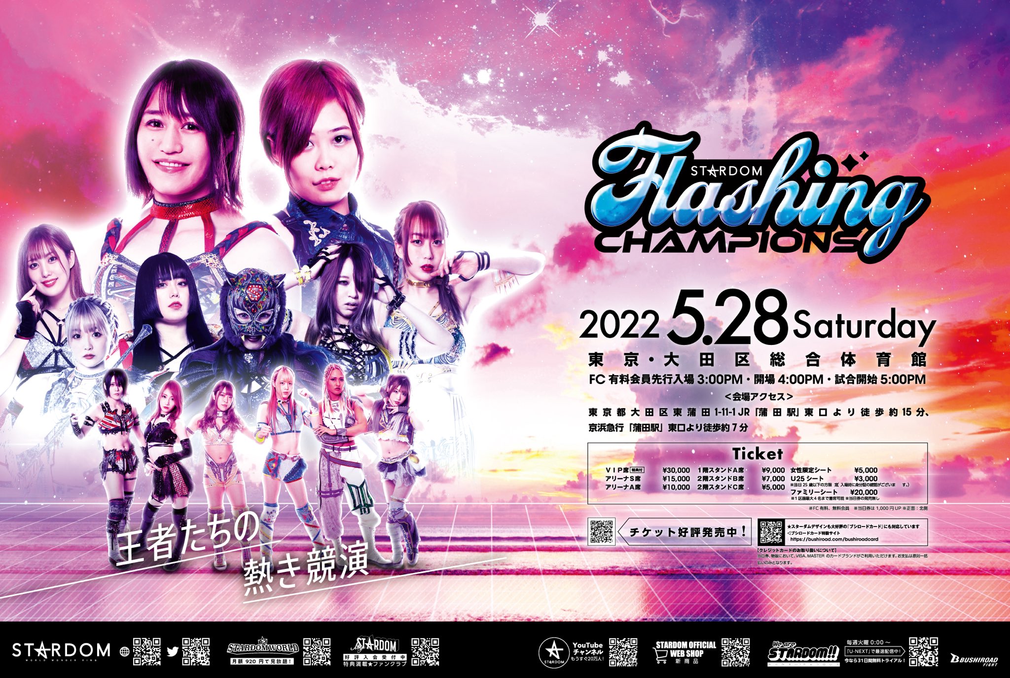 Stardom Cartel «Flashing Champions» Todos los títulos en disputa