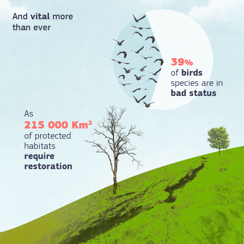 EU_Commission's tweet photo. 30 years of protecting nature, with more to come. 💚

Ahead of #BiodiversityDay, we wish a happy birthday to #Natura2000!

It's the largest network of protected areas in the world covering Europe's most valuable and threatened species and habitats.

Check our #EUDataCrunch ↓