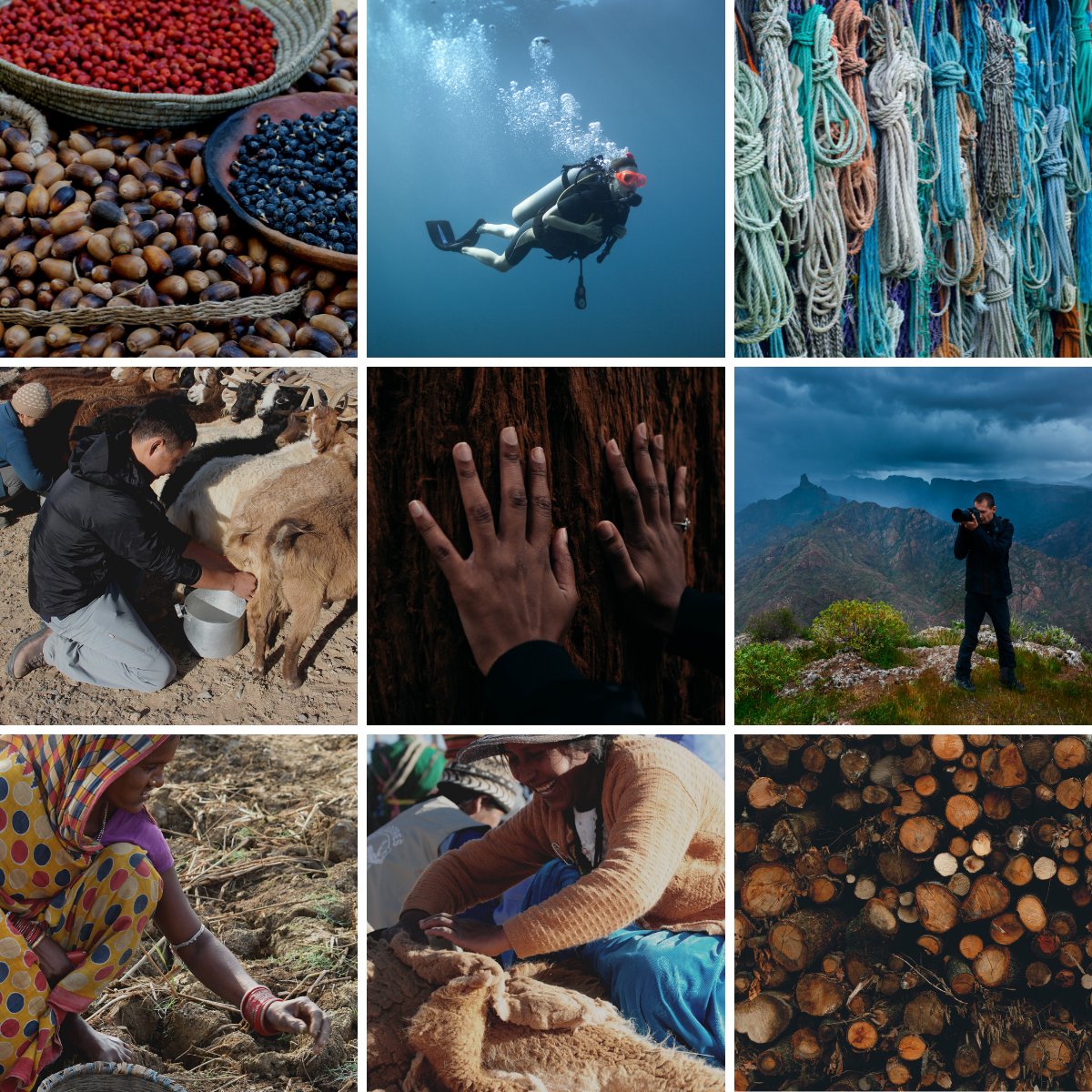 IPBES's tweet photo. 🍲What are the diverse uses of wild species? 
🎣What does sustainable use of wild species entail? 
🗒️What are the tools and methods for assessing, measuring &amp; managing sustainable use?

Stay tuned for the @IPBES #SustainableUse Assessment launching at #IPBES9 in July 2022💭 https://t.co/qZ96wVQliy