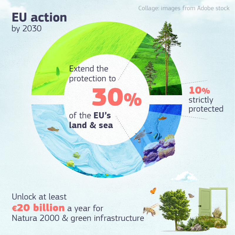 EU_Commission's tweet photo. 30 years of protecting nature, with more to come. 💚

Ahead of #BiodiversityDay, we wish a happy birthday to #Natura2000!

It's the largest network of protected areas in the world covering Europe's most valuable and threatened species and habitats.

Check our #EUDataCrunch ↓