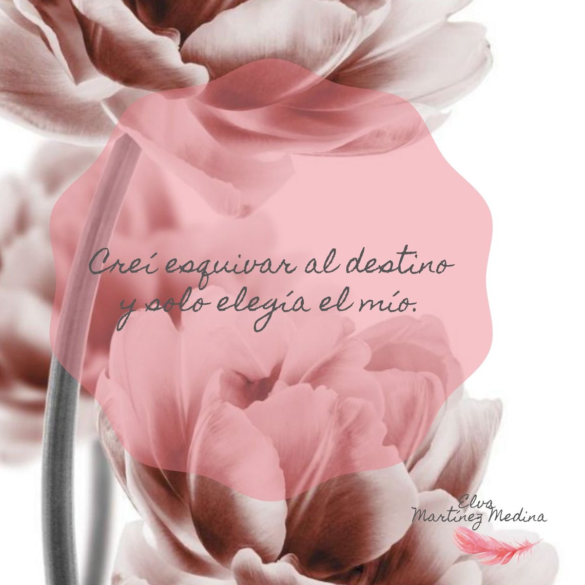 elvamarmed's tweet photo. Buenos días, ¿crees en el destino?
#frasesmotivadoras #FraseDelDía #frases https://t.co/4yOjRYYc0Q