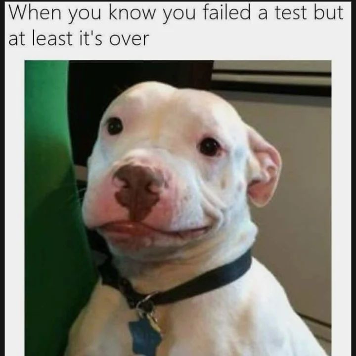 memes (@memescentrai) on Twitter photo 