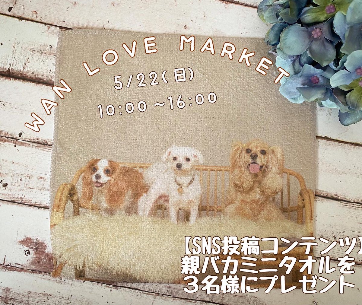 thecraftworktko's tweet photo. 5/22(日)千葉県
フェスティバルウォーク蘇我にて、
WAN LOVE MARKET に出店させて頂きます🎪

当日の様子をSNSに投稿すると　出店されているショップさんのグッズが当たる抽選会も🎁✨

当店からはうちの子のお写真そのままミニタオルにしてプレゼントします♡

ぜひお近くの方は遊びに来てください🐶 https://t.co/gQZ6b5iKYg