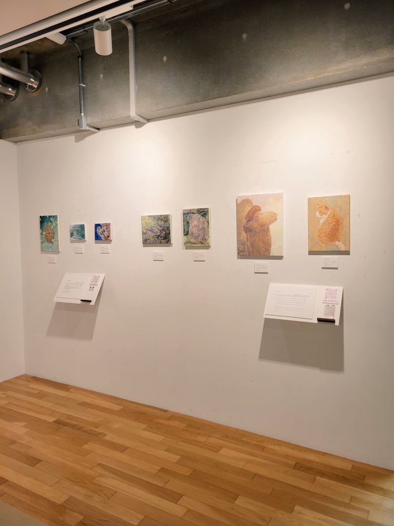 kansaku47's tweet photo. 展示のお知らせです📢
本日より学食2階のTHE  CUBEにて学内展示を行っています。
よろしければご覧ください🐾 https://t.co/8scbnG4f0R