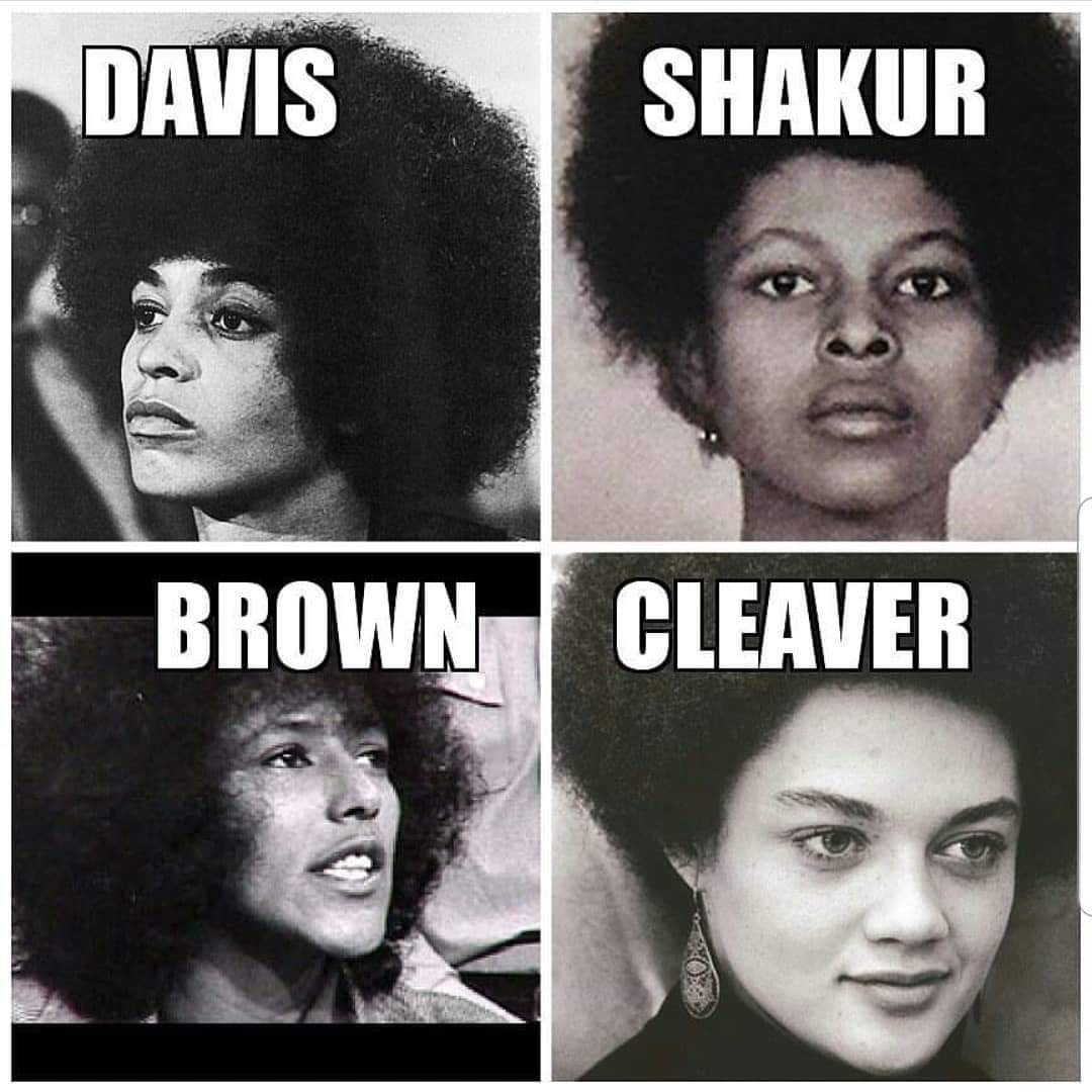 BlackHistoryStudies tweet media