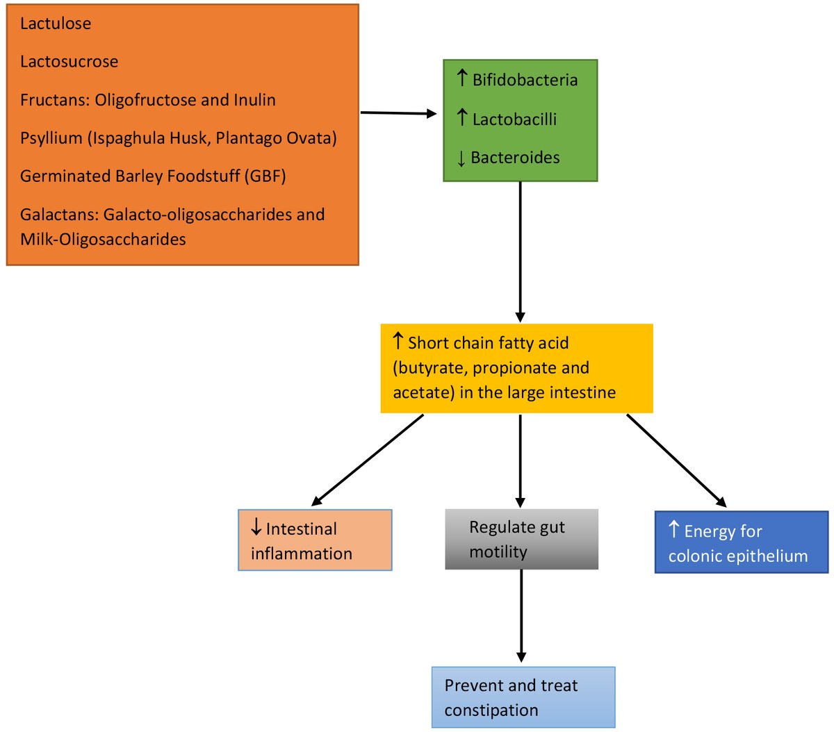 BenthamScienceP's tweet photo. Read the top cited article "Therapeutic Effects of Prebiotics on Constipation: A Schematic Review" published in the journal Current Clinical Pharmacology
Limited-time open access!
👉 https://t.co/jANHO0GEtp
#prebiotic #constipation #dysbiosis #galactan #fructan https://t.co/wQe6Ip86CX