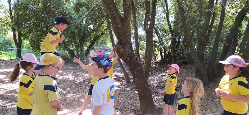 joanpacn's tweet photo. Gaudir, jugar, investigar, respetar la natura... @immaculadahorta https://t.co/1fGxH42h8f