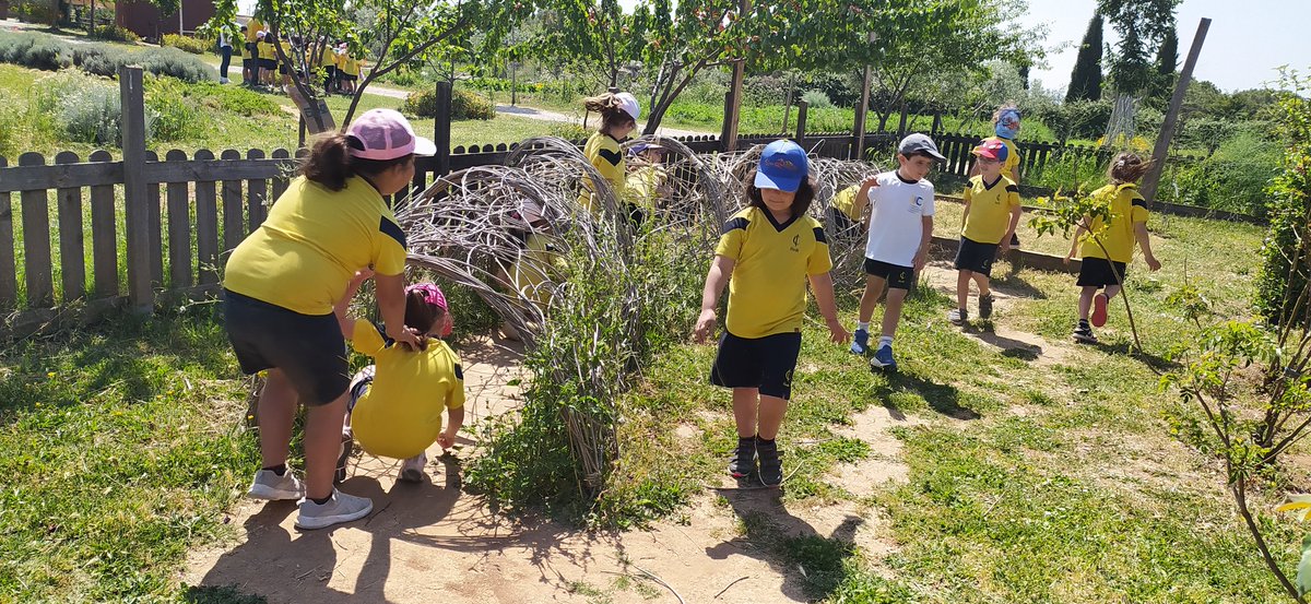 joanpacn's tweet photo. Gaudir, jugar, investigar, respetar la natura... @immaculadahorta https://t.co/1fGxH42h8f