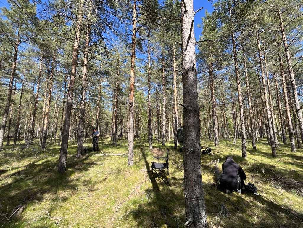 BobMuscarella's tweet photo. A wonderful #EcologicalMethods field trip to @StationLinne in Öland, Sweden @PlantEcoEvo_UU https://t.co/BQoPiiwfe4
