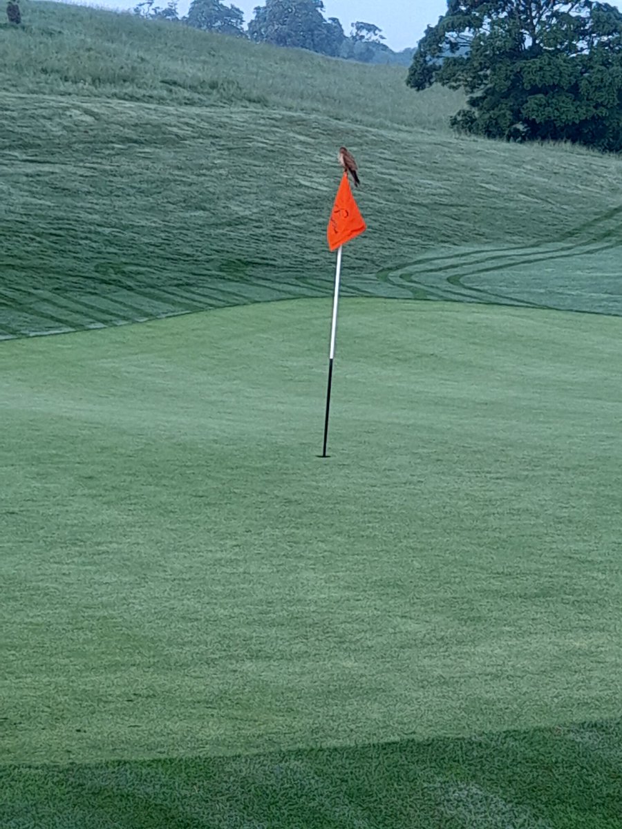 Jon Keepen tweet media