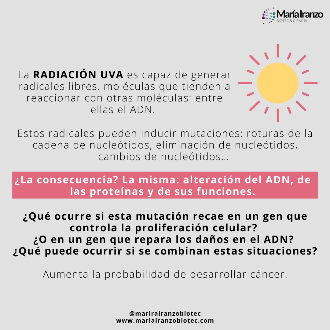 MariaIranzoBio's tweet photo. Sol, playa, moreno... Todos asociados a la mejor época del año para muchos, el verano. Pero también #RadiaciónSolar, quemaduras, mutaciones y #CancerDePiel. 

Hablamos del efecto de la #RadiaciónUV del sol en las células de nuestra piel... ¡SIGUE LEYENDO!

https://t.co/3EJbrYKM6u https://t.co/vQoNqje27y