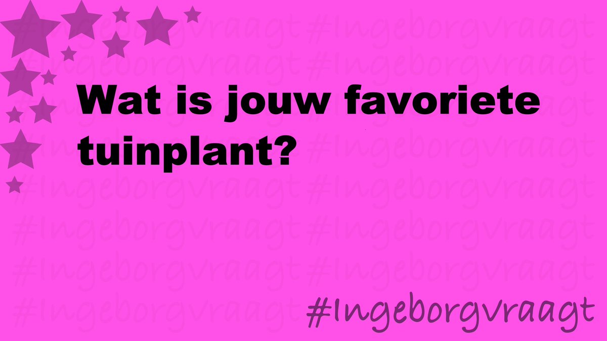 #IngeborgVraagt🍀😇 tweet media