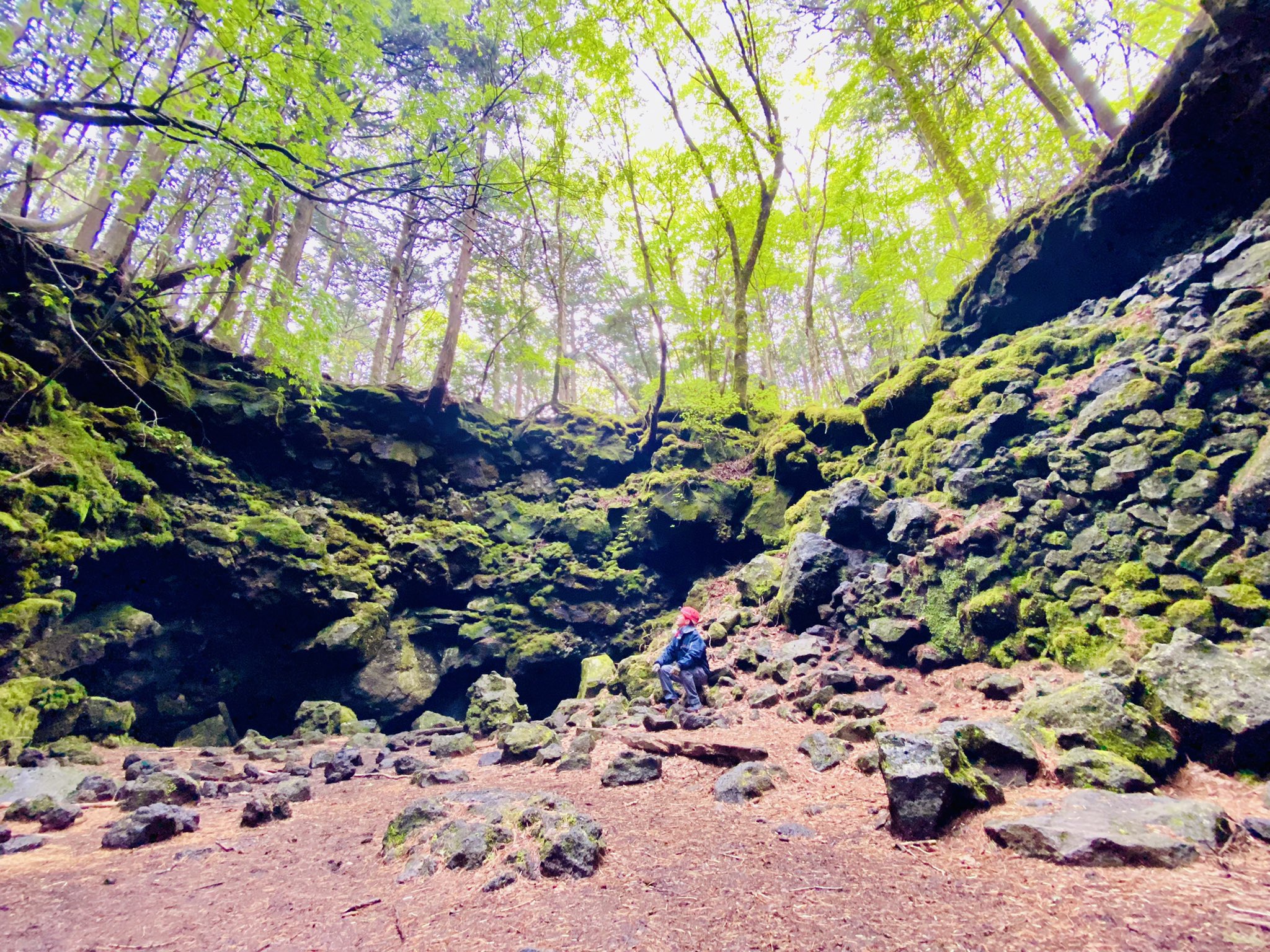 富士風穴 Twitter Search Twitter