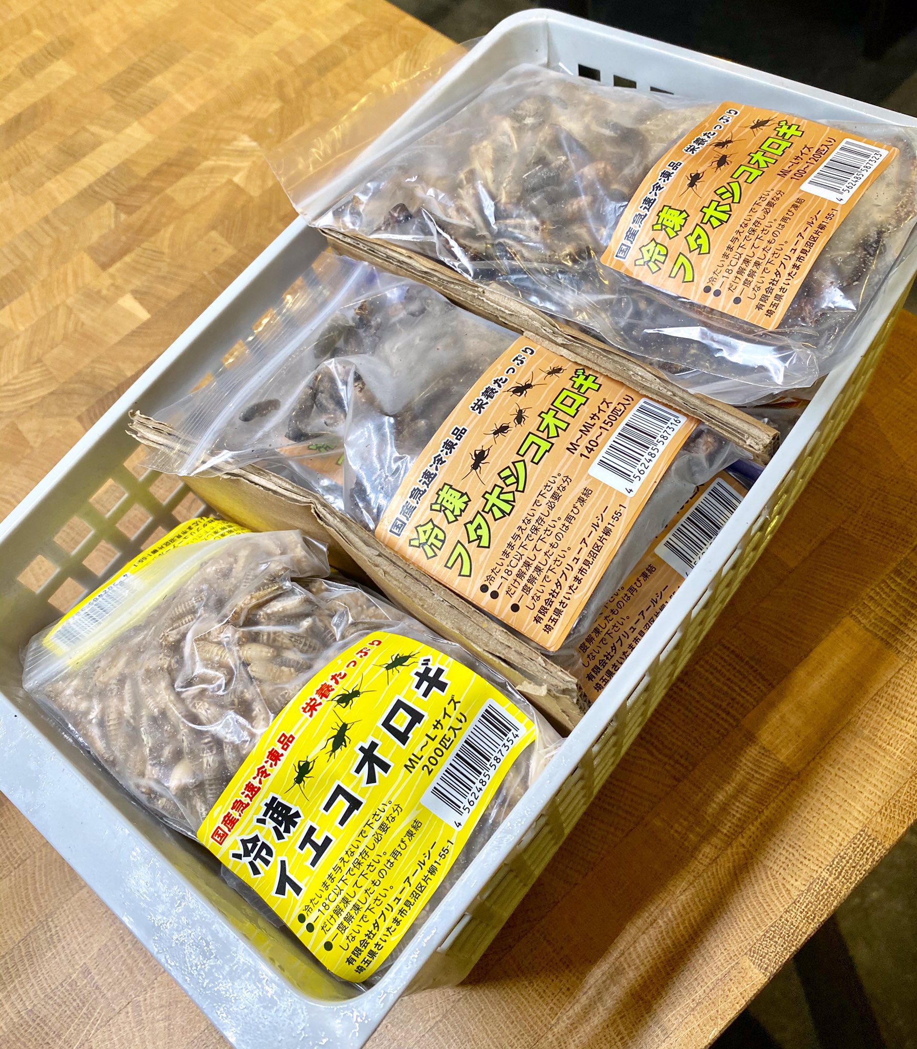 ネイチャーズ名古屋錦店 ネイチャーズ名古屋錦店本日もオープンしました 6 5の閉店までは活エサ 冷凍エサは入荷致します 欠品しておりました コオロギmlサイズ 冷凍コオロギを入荷しました T Co Thouyhulth Twitter