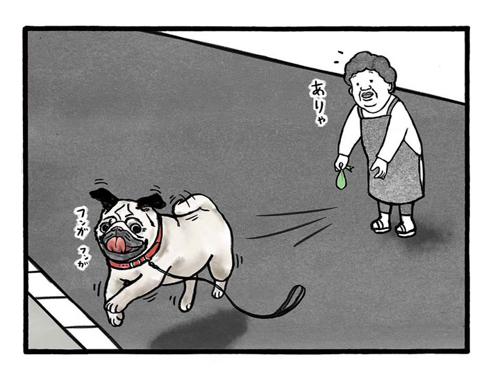 「猫より恐ろしい」 左官職人が警戒する『通行者』にクスッ! https://t.co/po2n6mCUVV @grapeejpより 