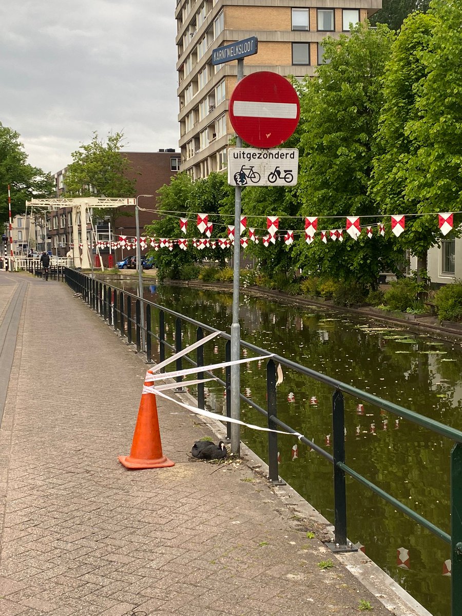 𝗡𝗶𝗲𝗹𝘀 𝗱𝗲 𝗭𝘄𝗮𝗿𝘁𝗲 tweet media