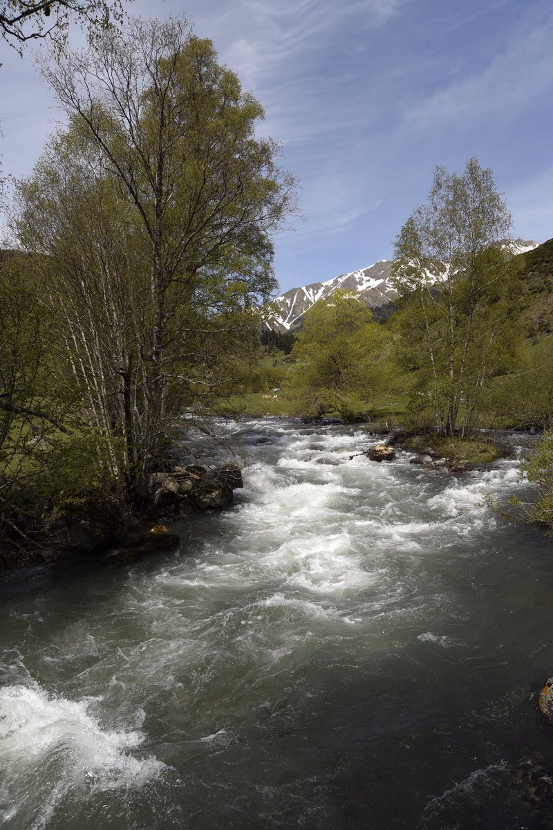 Desgel a la capçalera de la Noguera Pallaresa.
#bonabé #pallarssobirà #salvemsalau