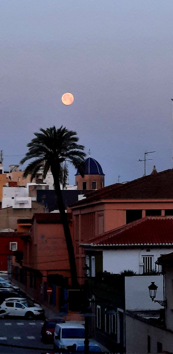 cionono's tweet photo. Bon dia...
@AnodracSolrac 
@Aj_Benifaio 
@terravivaapunt https://t.co/eyVetQxOI1