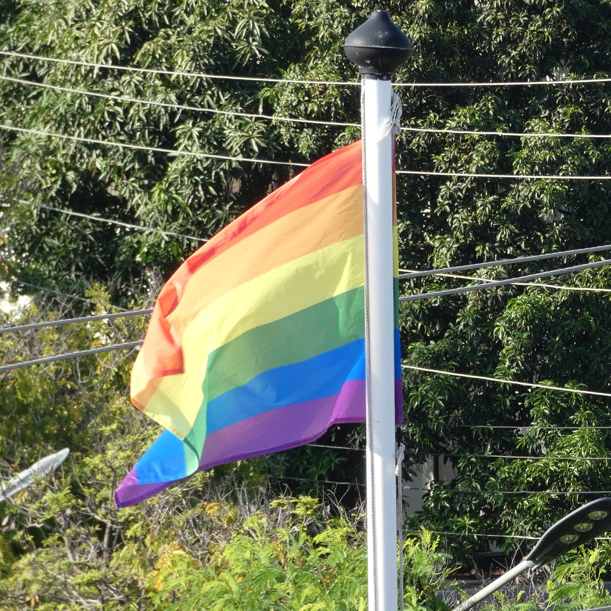 We're flying the🏳️‍🌈 flag today in support of International Day Against Homophobia, Biphobia and Transphobia (IDAHOBIT). 

IDAHOBIT is an annual awareness day to draw attention to the discrimination and violence experienced by LGBT+ people around the world.

🇬🇧🏳️‍🌈🏳️‍⚧️🇬🇧