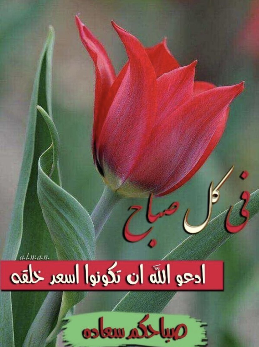 abujozeef's tweet photo. https://t.co/GX8g48iXKA