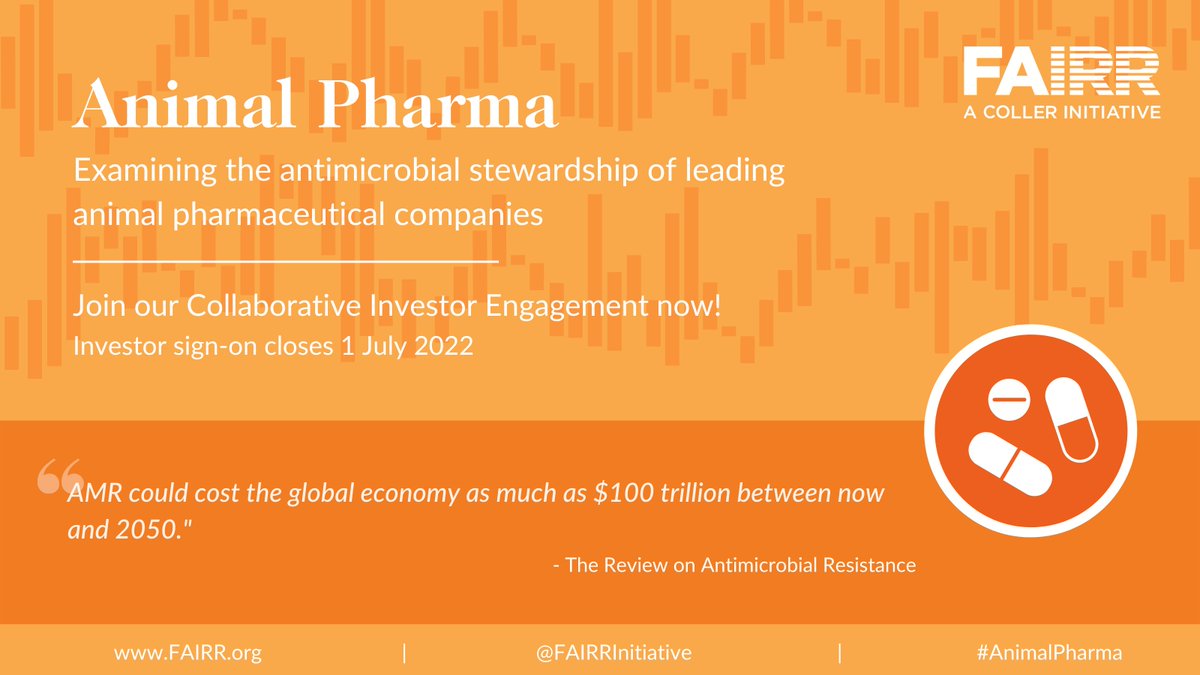 FAIRRInitiative's tweet photo. Our Animal Pharma Engagement is open for investor sign-on! It aims to drive greater disclosure and clarity over how #animal #pharmaceutical companies are addressing the risk of #AMR across their supply chain.

Join our Collaborative Investor Engagement at https://t.co/YEug1PItOQ! https://t.co/QwLvhryDSM