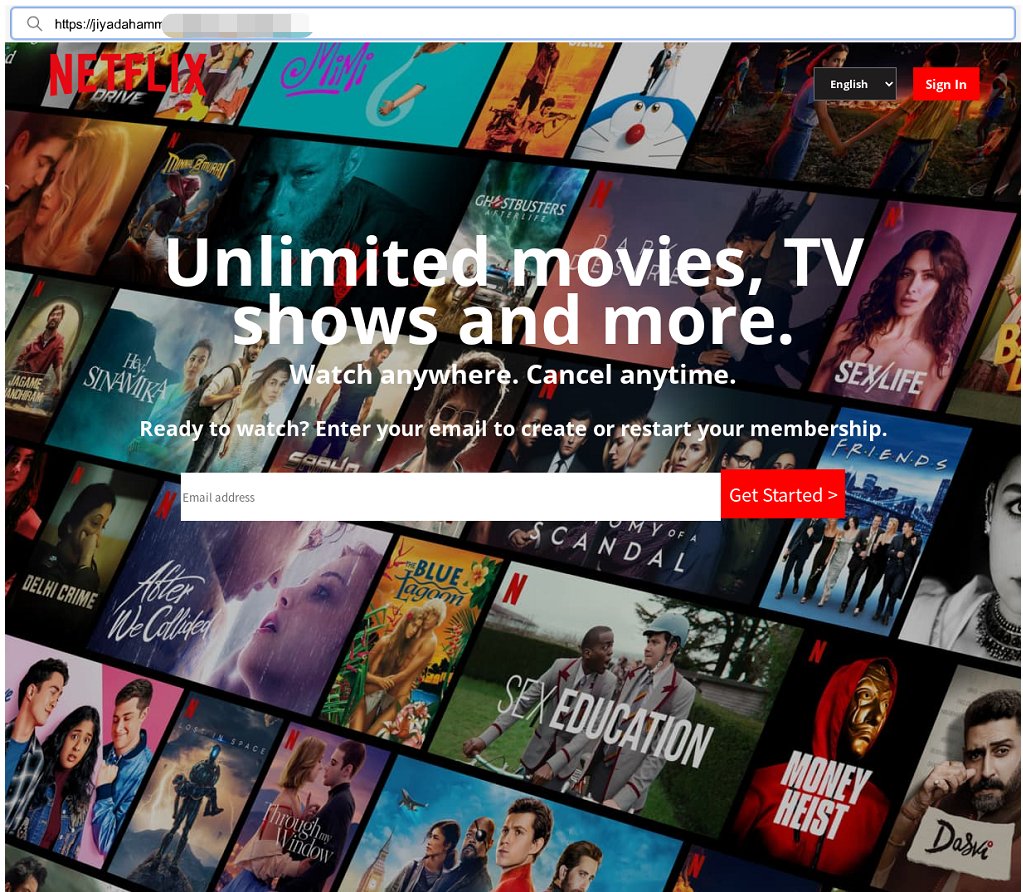 TianJiPartners's tweet photo. @netflix Beware of the phishing site. https://t.co/d57lu8Cr46
