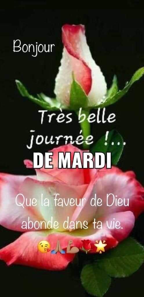 KChakirou's tweet photo. @joelwafo @Brindiii_ https://t.co/WWrU0nqafi