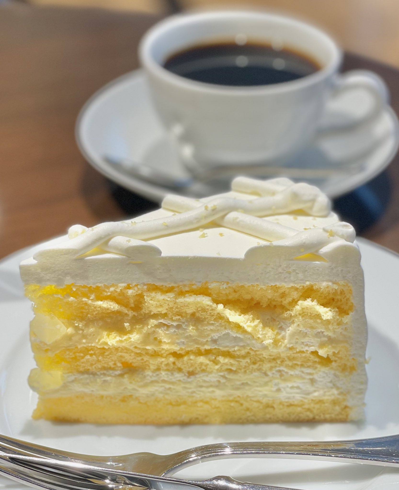 シトロンケーキ Twitter Search Twitter