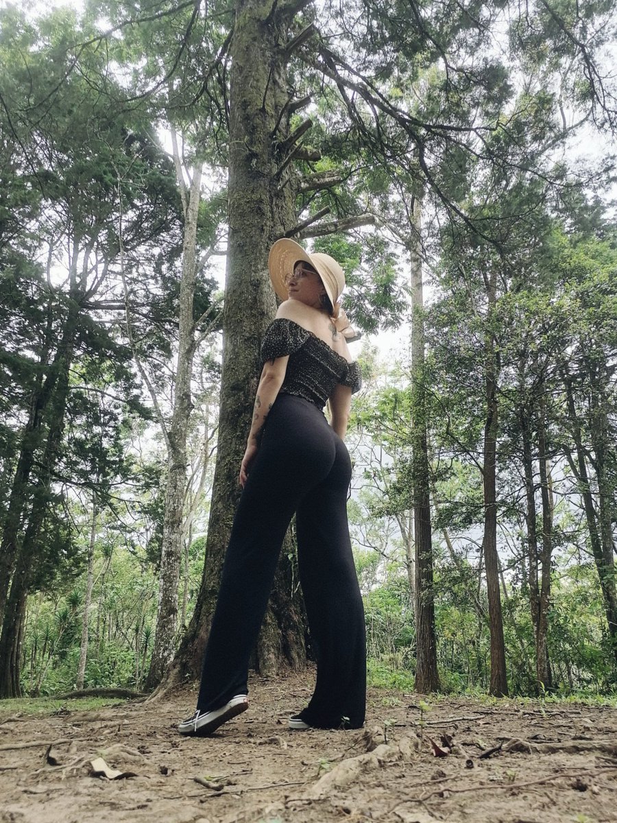 🍃✨