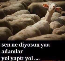 Sigaraya 8 TL ZAM
Süt ve Süt Ürünlerine % 33 ZAM
Çay a % 40 ZAM
Şekere % 20 ZAM
LPG ye 40 Kuruş ZAM
Benzine 1.68 TL ZAM
Kahveye % 21 ZAM
Bira ya 12 ZAM
Rakı ya 100 TL ZAM
#ZamGeldi
#BenimDerdimEkonomi