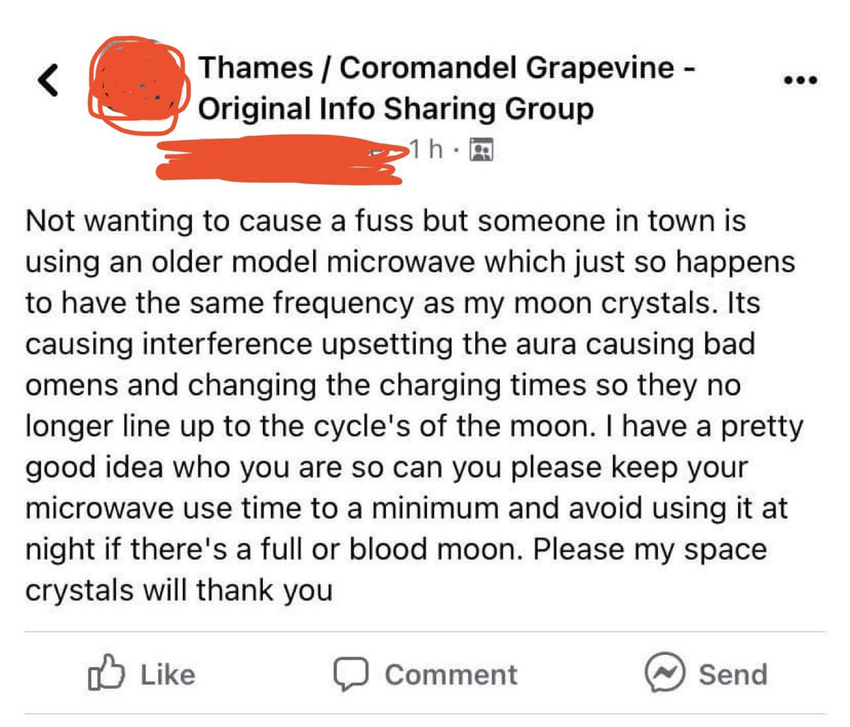 kevorkian82's tweet image. Meanwhile, in Thames Coromandel region