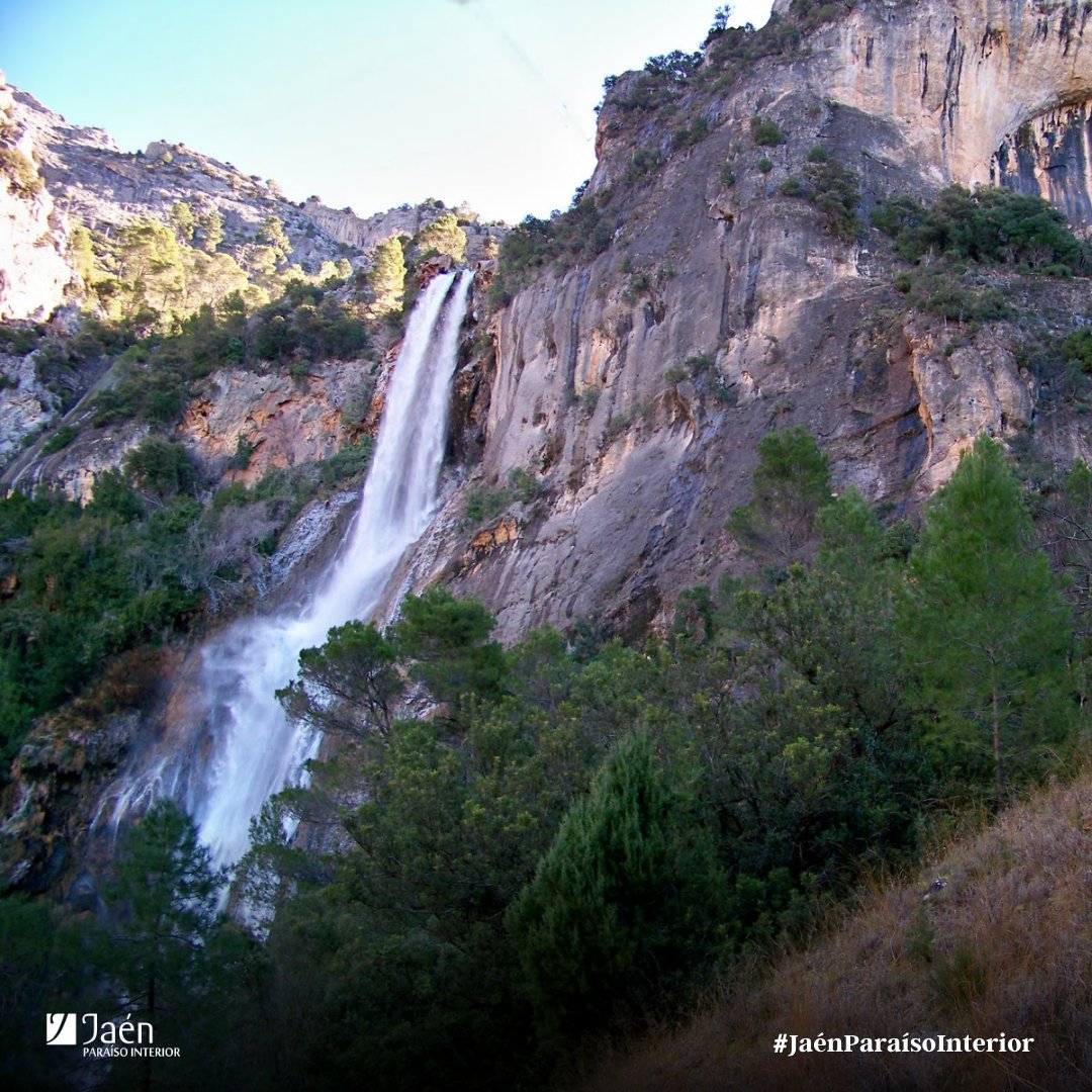 QuebrantaPNCazo's tweet photo. La 𝗖𝗮𝘀𝗰𝗮𝗱𝗮 𝗱𝗲 𝗹𝗮 𝗢𝘀𝗲𝗿𝗮 💧es una de las rutas más espectaculares del Parque Natural de Sierras de Cazorla, Segura y Las Villas. 

👉 Está considera el salto de agua más alto de Andalucía con 130 metros de altura.
¡Una auténtica maravilla de la naturaleza! https://t.co/eNdULC144x
