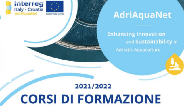 Ad <a href="/AquaFarmExpo/">Aquafarm</a> previsti due workshop del progetto <a href="/AquaAdri/">AdriAquaNet</a>.
I training sono riconosciuti tra le attività formative dell'<a href="/APIOfficial1/">API - Associazione Piscicoltori Italiani</a>.
bit.ly/3LmfPfh
