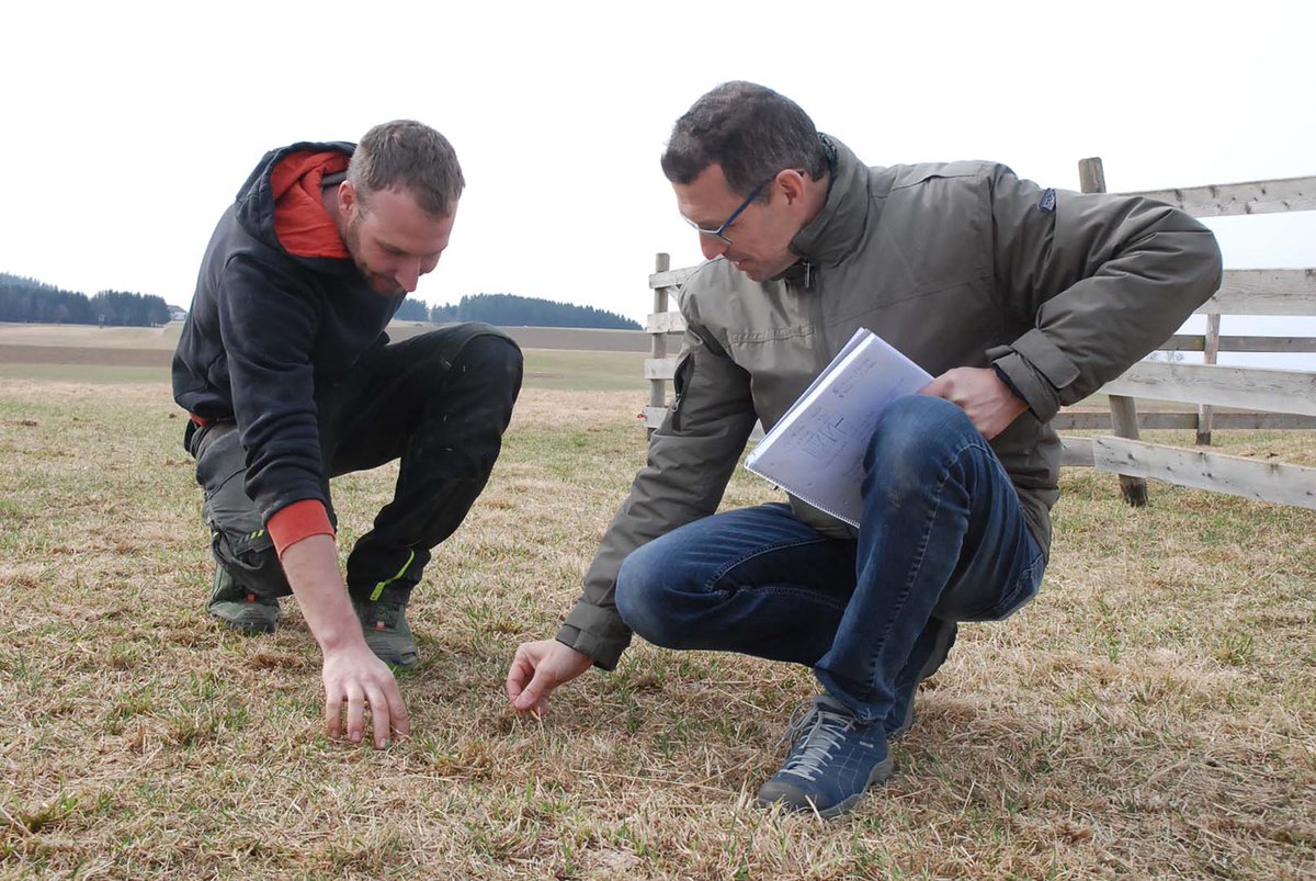 EIP Projekt Berg-Milchvieh Tagung

Am Donnerstag, den 19. Mai 2022 findet im Grimmingsaal der HBLFA Raumberg-Gumpenstein die Tagung zum EIP Projekt Berg-Milchvieh statt. Diese Tagung beschäftigt sich mit den Ergebnissen zu innovativen Stallbauten und Alternativen am Berg.