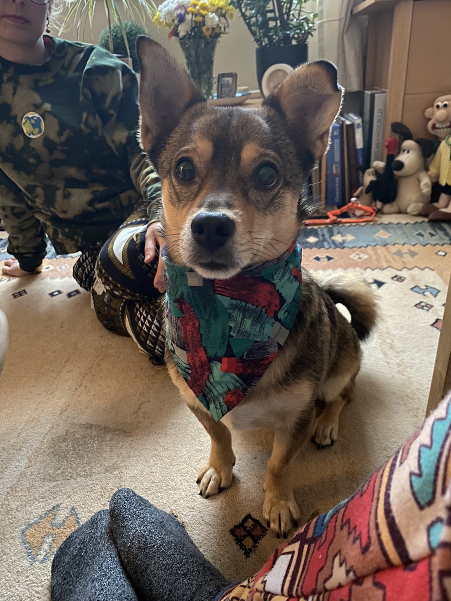 Rob Jones tweet media