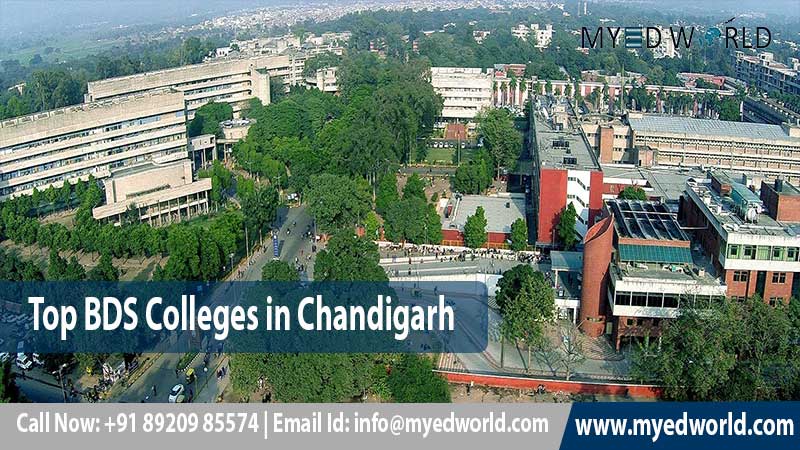 Myedworld_pvt's tweet photo. Top BDS Colleges In Chandigarh 2022-2023: Admission, Exam, Counselling and Documents
visit our website :https://t.co/XVt1hOBn6y
#BDSCollegesInchandigarh #Pharmacy  #neetapplication #neeregistration #bams #bamdadmission #mbbs  #neetpg2022counselling #NEETPG #ayuveda  #medical https://t.co/i4LidOd6r9