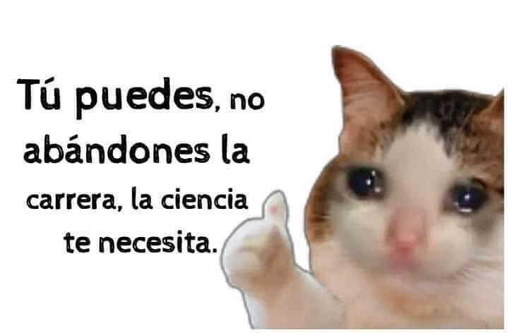 EnsedeCiencia's tweet photo. 🥺 https://t.co/9ywF1yo3cC