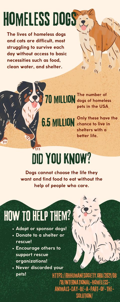keliu0828's tweet photo. This is my infographic to show the problems that homeless dogs face and solutions which are easy for us to help. #39canimals https://t.co/zNeZIRz4Ha