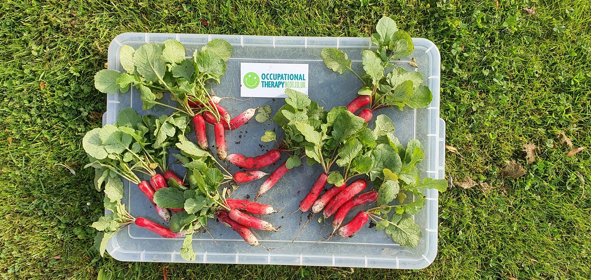 Cath Turner tweet media