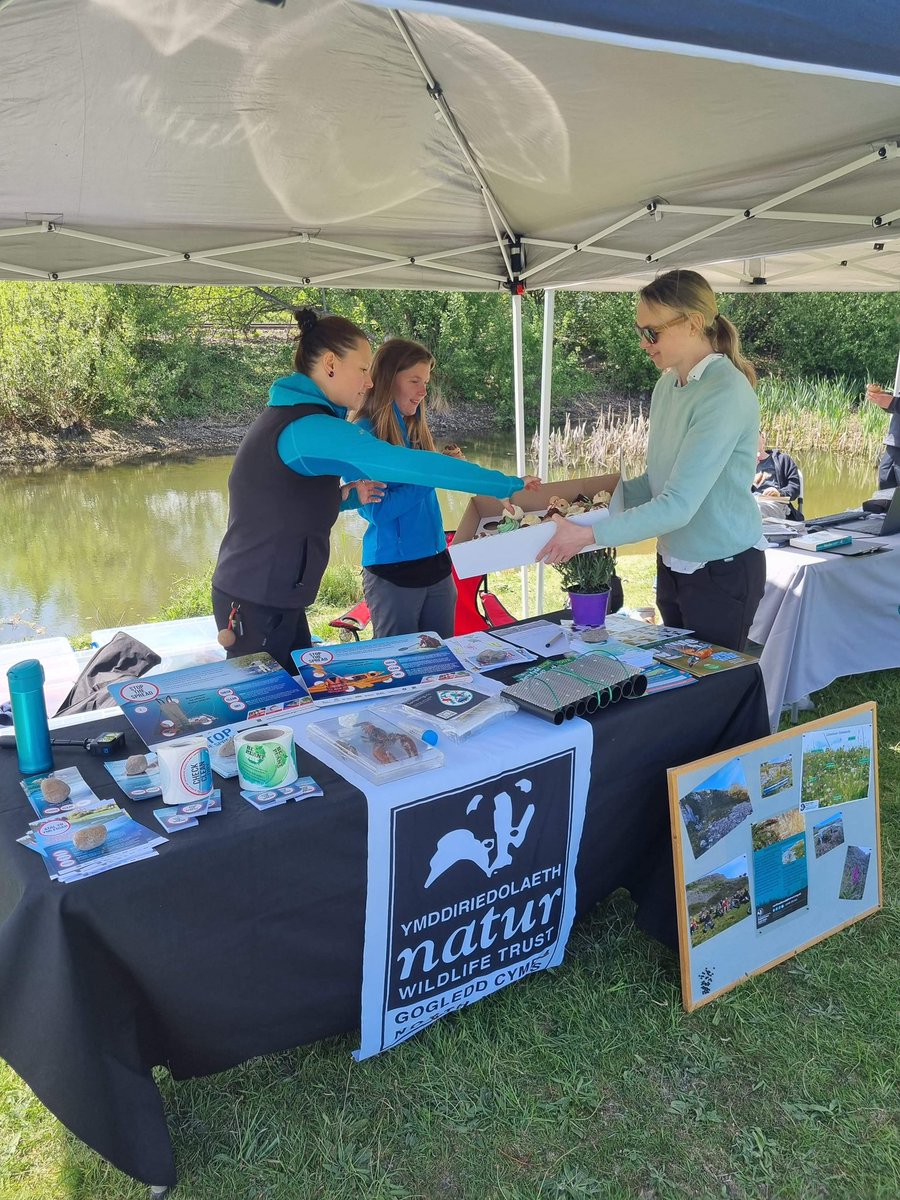 FCCcountryside's tweet photo. Successful Bioblitz event in Bettisfield Bagillt this weekend. Identifying local biodiversity. Refreshments kindly provided by @AbakhanFabrics 
 
#diolch #thankyou #Biodiversity #rangering  #localsponsor #bioblitz #volunteers #gwirfoddoli #swyddogionmaes https://t.co/UAhEA8Rz7Z
