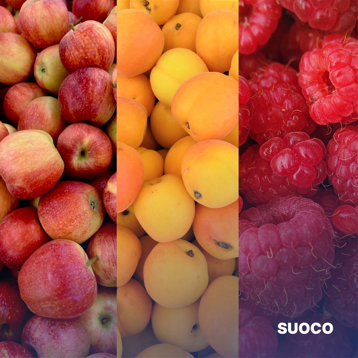 suococh's tweet photo. Mhhh, freust du dich schon unser Getränk zu probieren?😋

Was wünschst du dir noch für Geschmacksrichtungen? 🍓🍐🍒

#suoco #suocoit #schweiz #startup #softdrink https://t.co/MYUrOviWWH