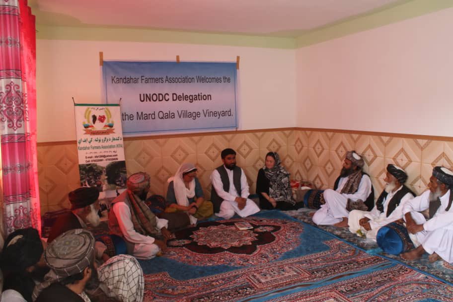 “Drugs r destroying our youth & children so we want 2 stop poppy cultivation but we need other ways to feed our family” says the Kandahar Farmers Association reps. They need urgent assistance to meet basic needs & to survive, thru agro/animal husbandry businesses & market access.