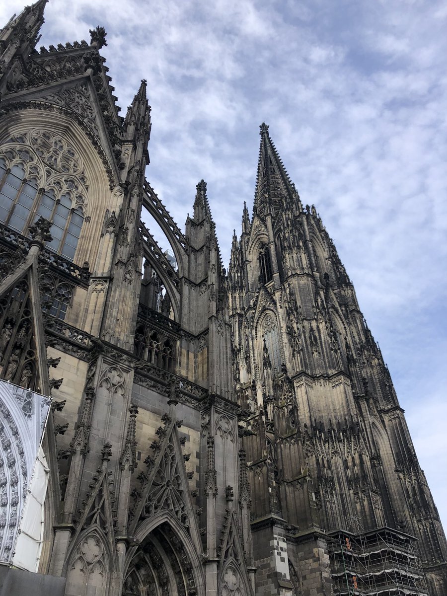 Annika Schmitz tweet media