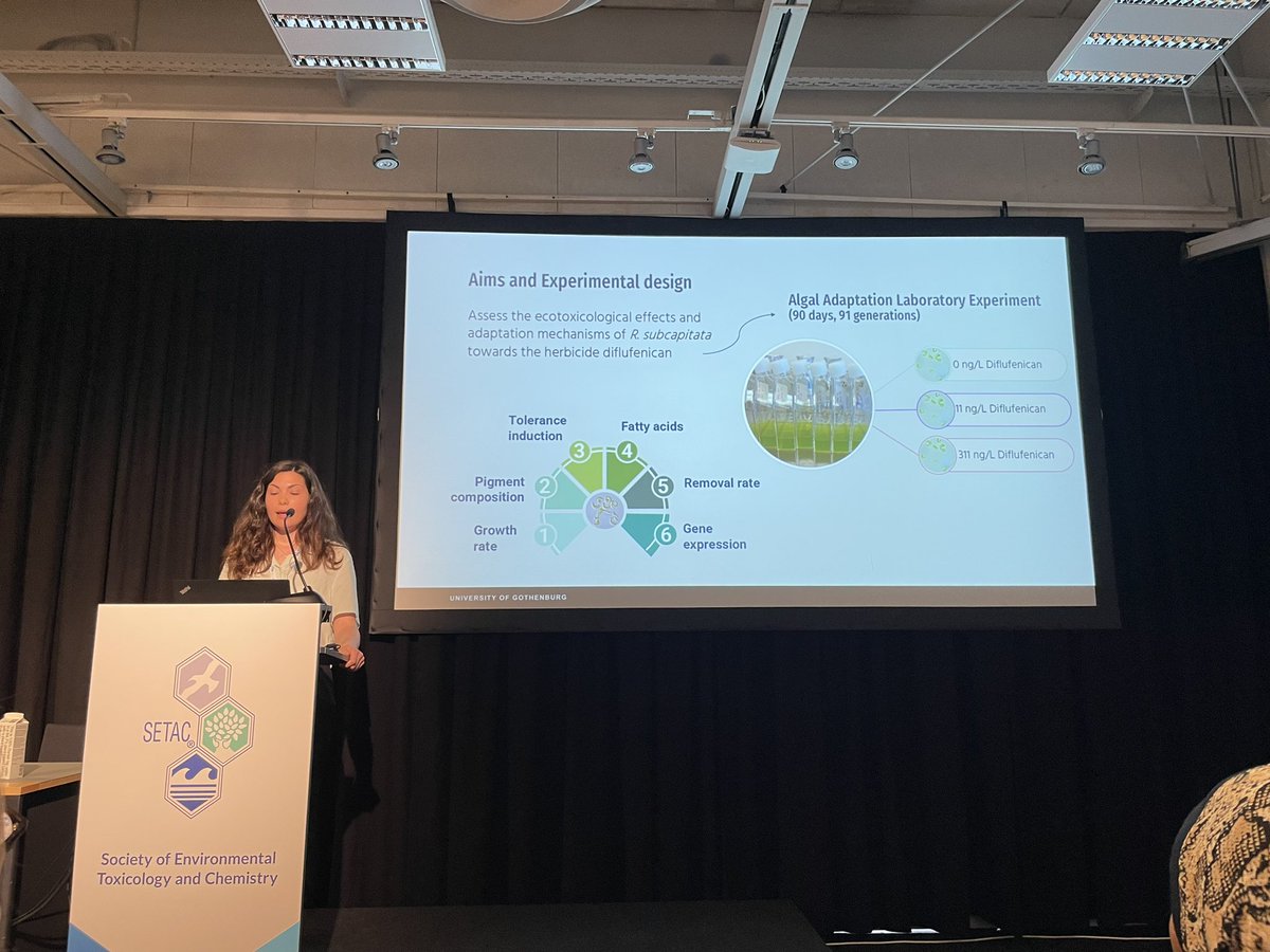 NCorcoll's tweet photo. Great presentation by Daniela Gómez Martínez @daniela_gmzm  about #ecotoxicity &amp; #adaptation mechanisms in #algae towards #herbicides. 

#SetacCopenhagen, #Setac_World, @goteborgsuni @EcotoxicoMic https://t.co/k8OsYqI75W