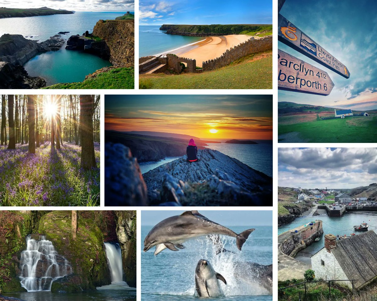 GolwgYCwm1's tweet photo. 🥰 WOW! Jessie's top recommendations of places to visit!
 #Ffynone #abereiddy #bluelagoonwales @discover_ceredigion #mwnt  #porthclais #porthgain @pembscoast @stdavidscathedral #stdavids
#tenby #saundersfoot @visitpembrokeshire #bosherston #barafundle 

https://t.co/EMpeekyxd2 https://t.co/XxE7JHmBq9